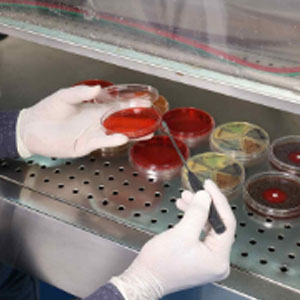 Lab 2